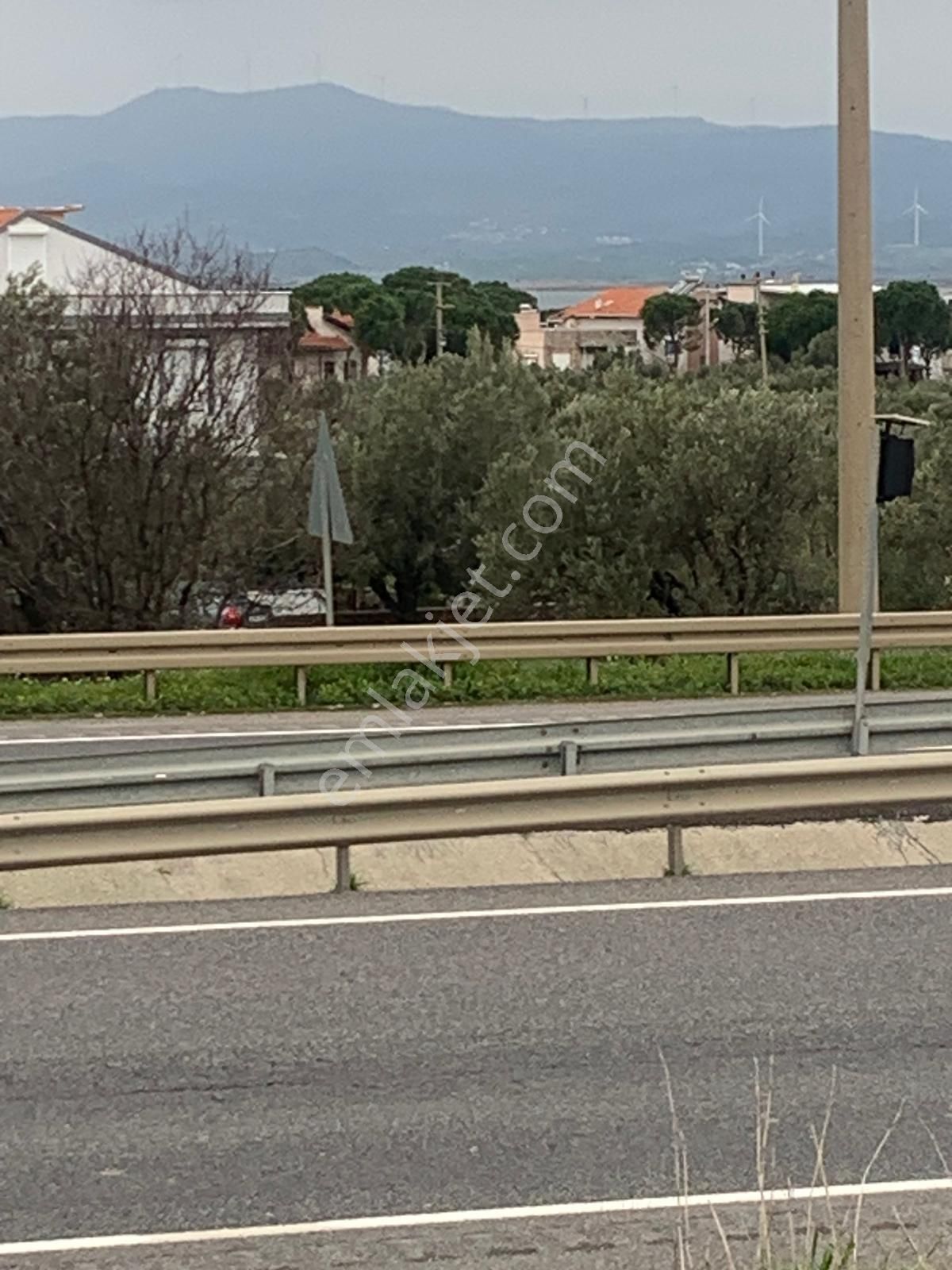 Aşağışakran’da Yola Cepheli, Konut Takasına Uygun Yatırımlık Zeytinlik - Görsel 6