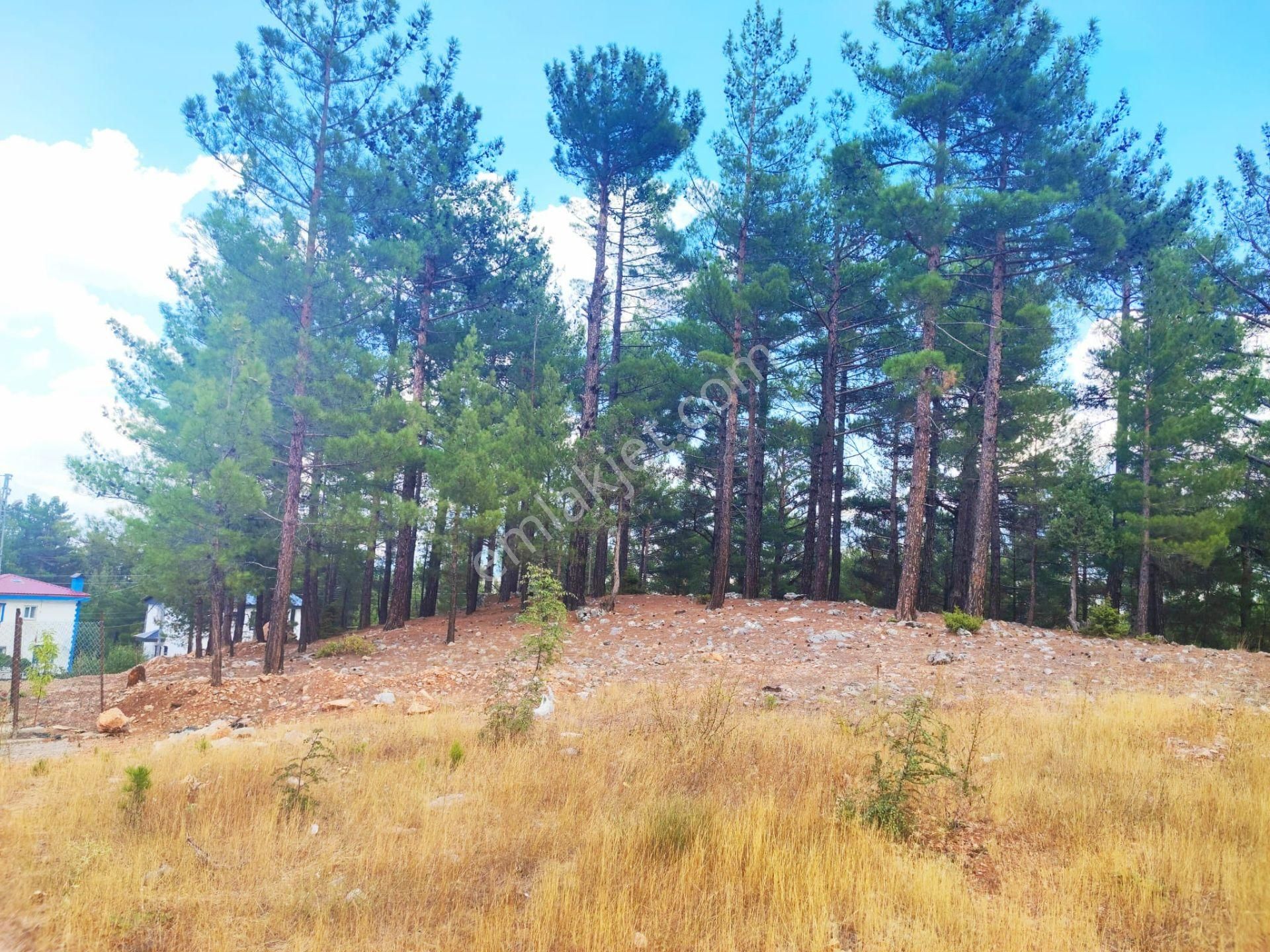 Kar Emlaktan Yenikonacık Kırıntı Mevkiinde 250 M2 Satılık Arsa - Görsel 26