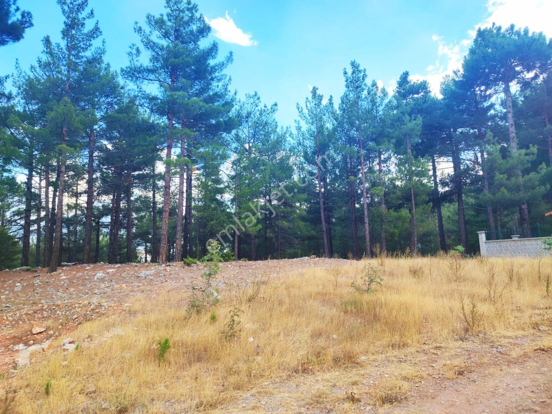 Kar Emlaktan Yenikonacık Kırıntı Mevkiinde 250 M2 Satılık Arsa - Görsel 11