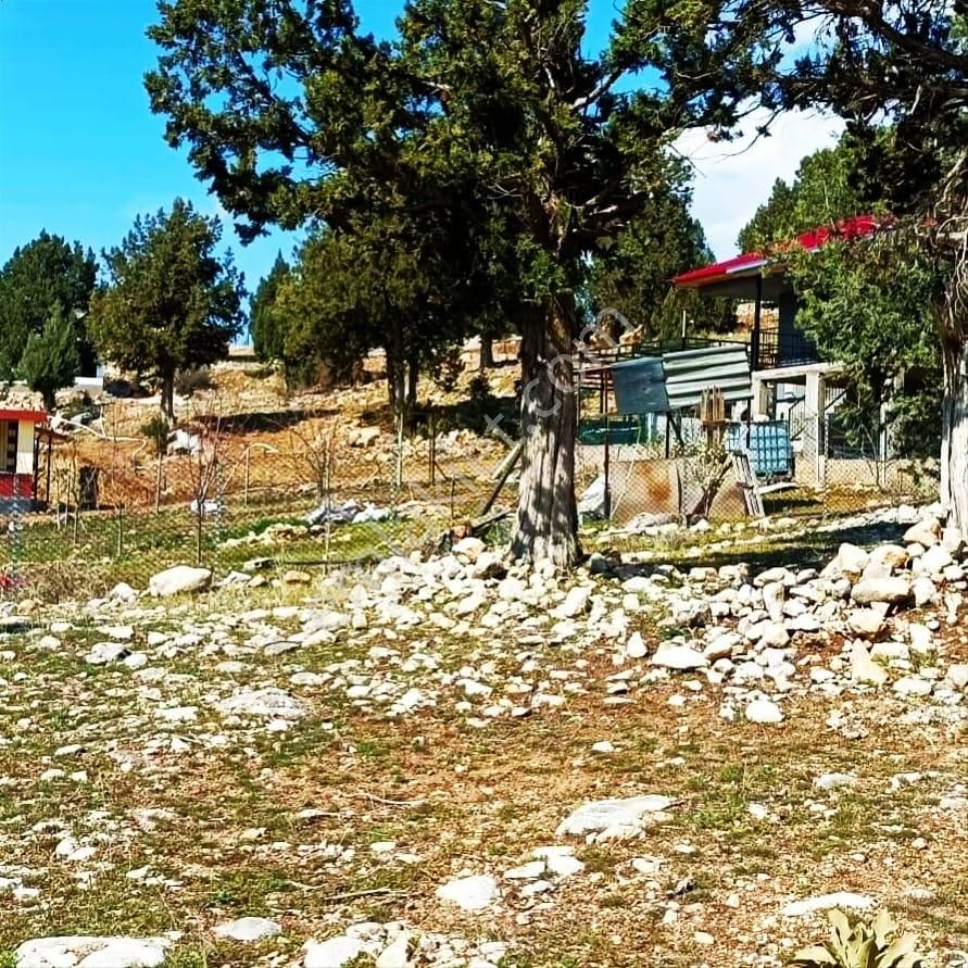 Kar Emlaktan Aşçıbekirli Fenese Mevkiinde 400 M2 Satılık Arsa - Görsel 28