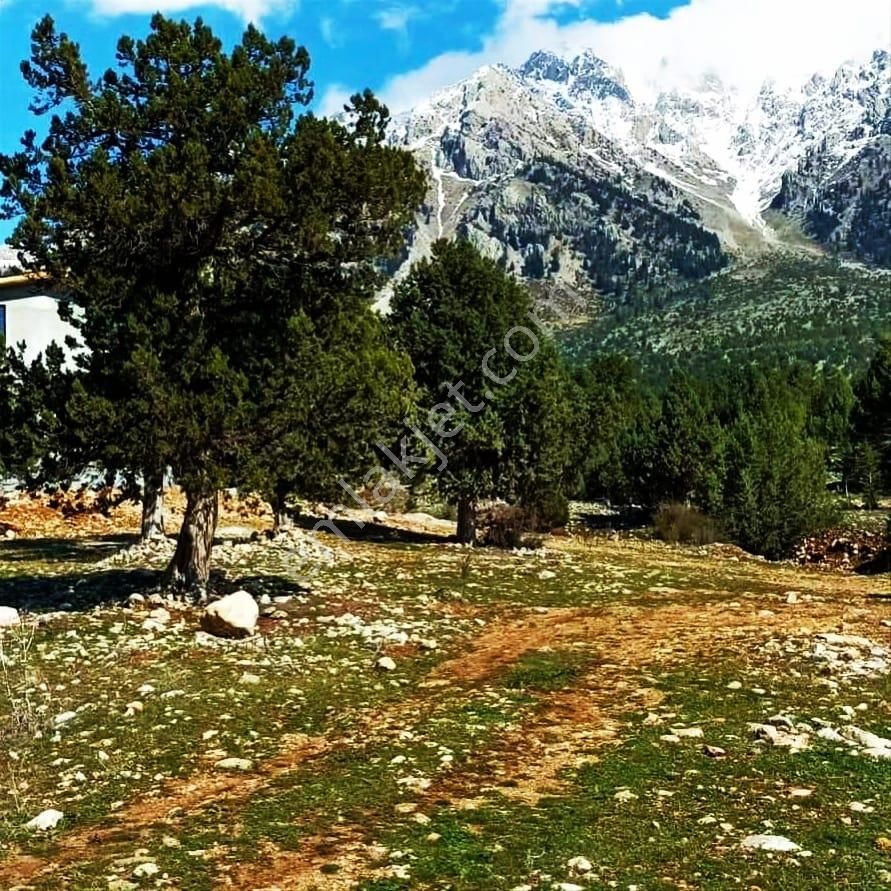 Kar Emlaktan Aşçıbekirli Fenese Mevkiinde 400 M2 Satılık Arsa