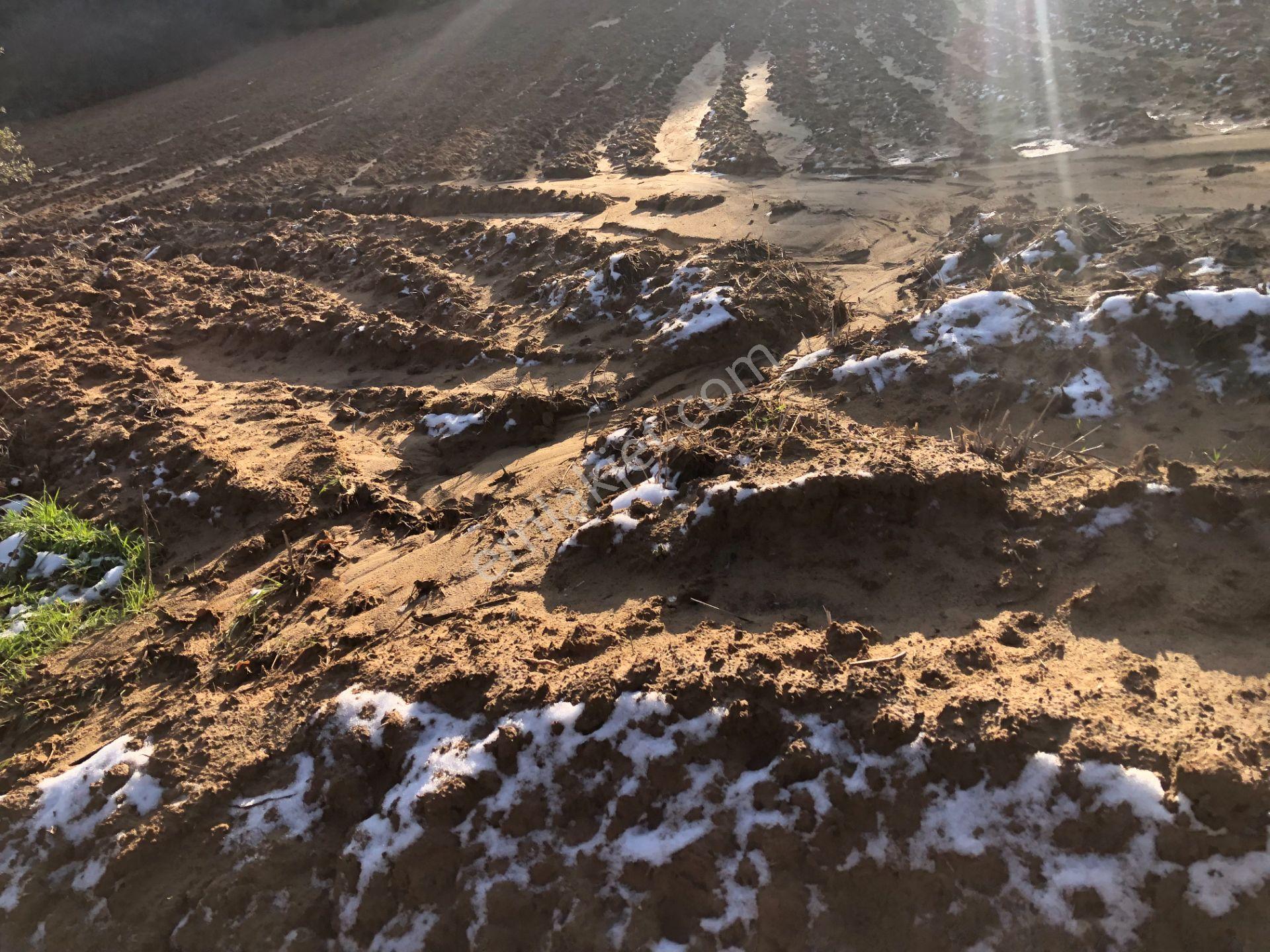 Şarköy De Işık Emlaktan Cengelli Mah De 5000 M2 Tarla - Görsel 8