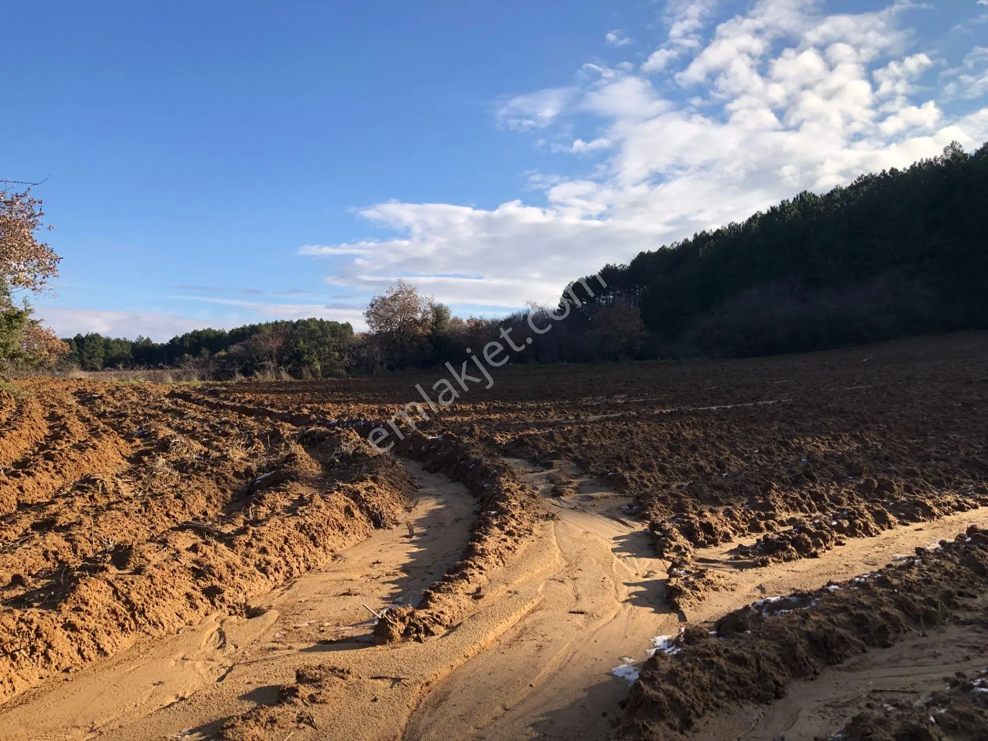 Şarköy De Işık Emlaktan Cengelli Mah De 5000 M2 Tarla - Görsel 3