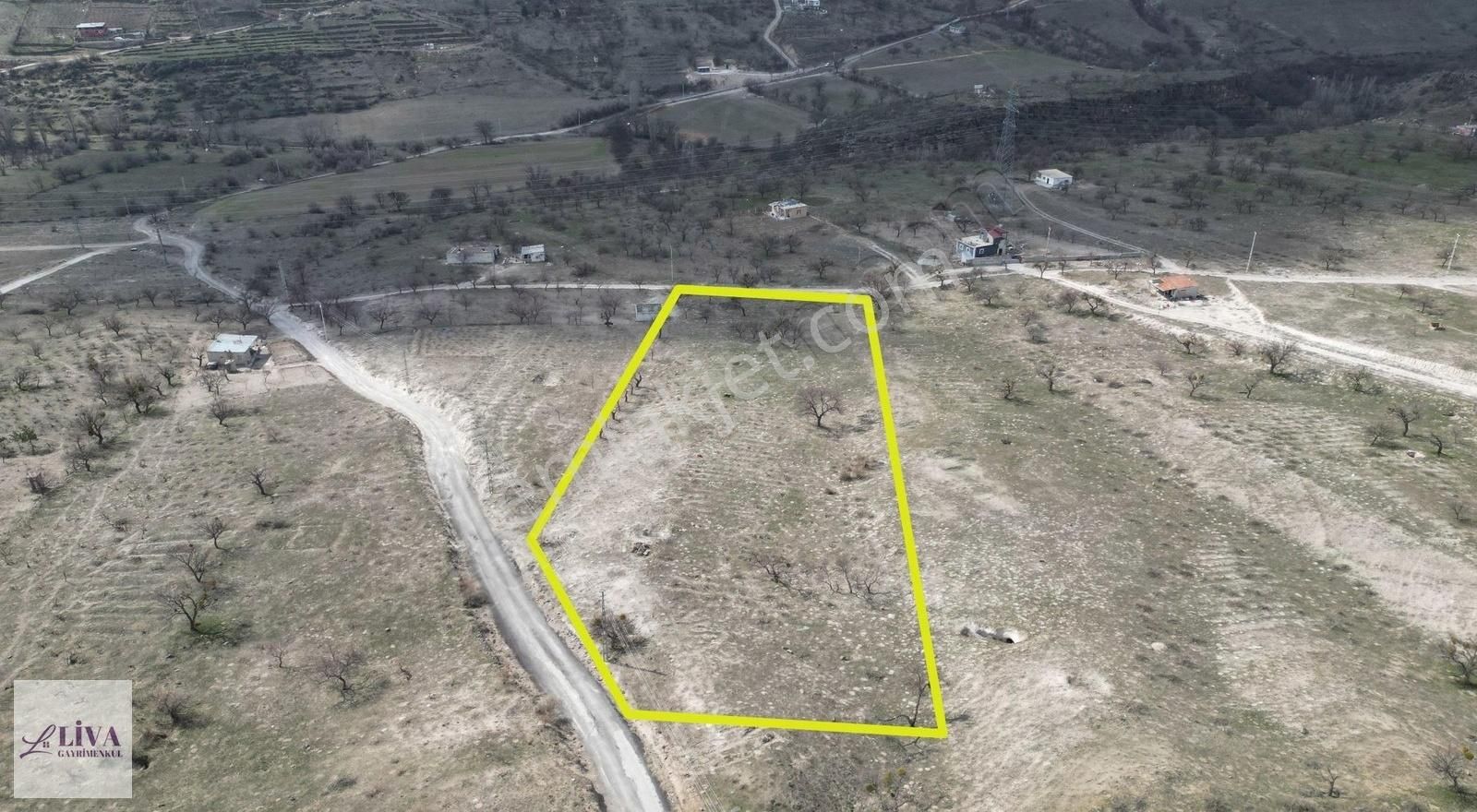 Liva'dan Reşadiye'de 1230 M² Bağ - Görsel 4