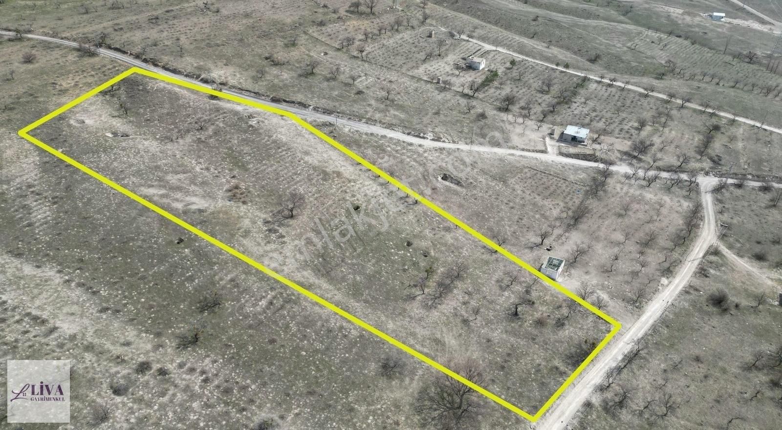 Liva'dan Reşadiye'de 1230 M² Bağ - Görsel 6