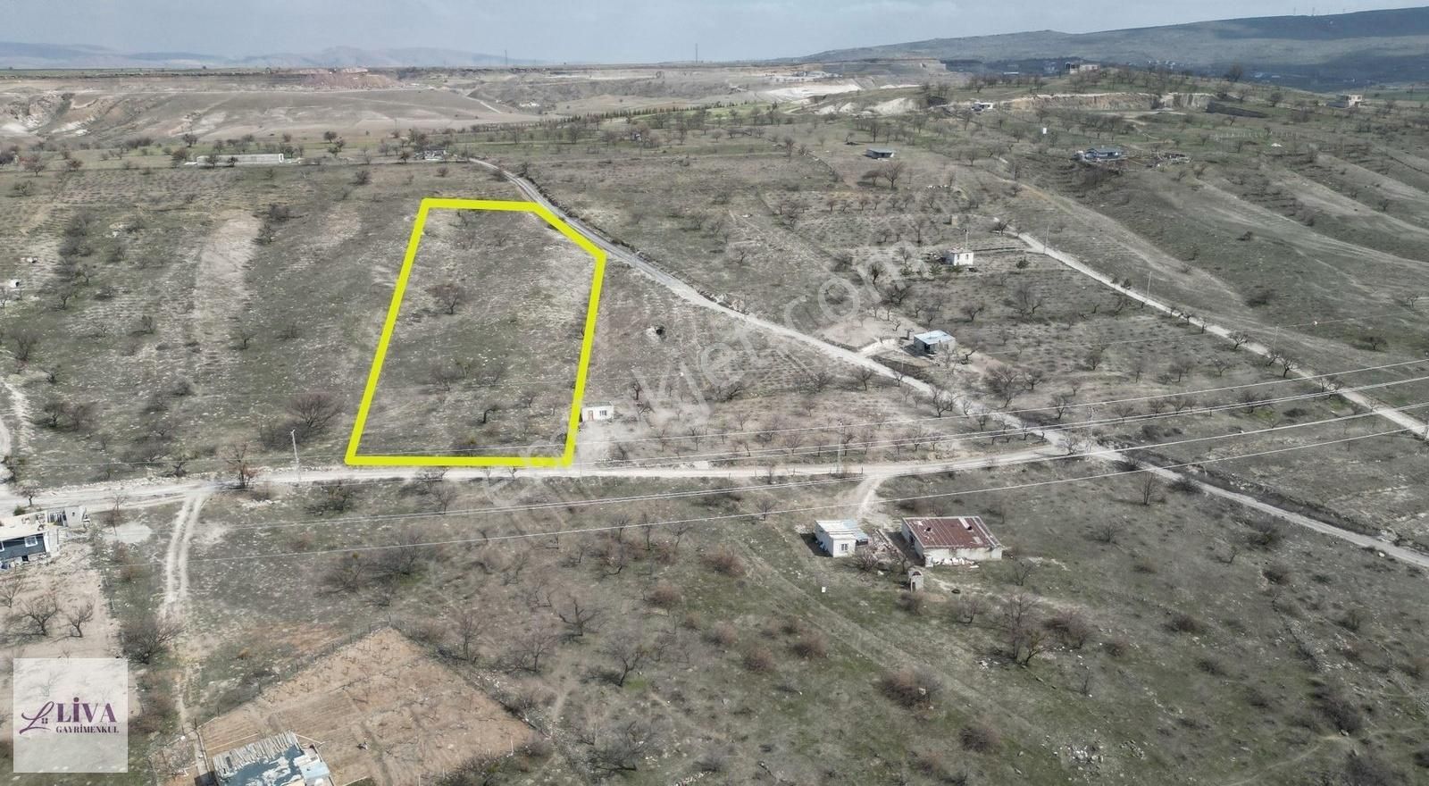 Liva'dan Reşadiye'de 1230 M² Bağ - Görsel 5