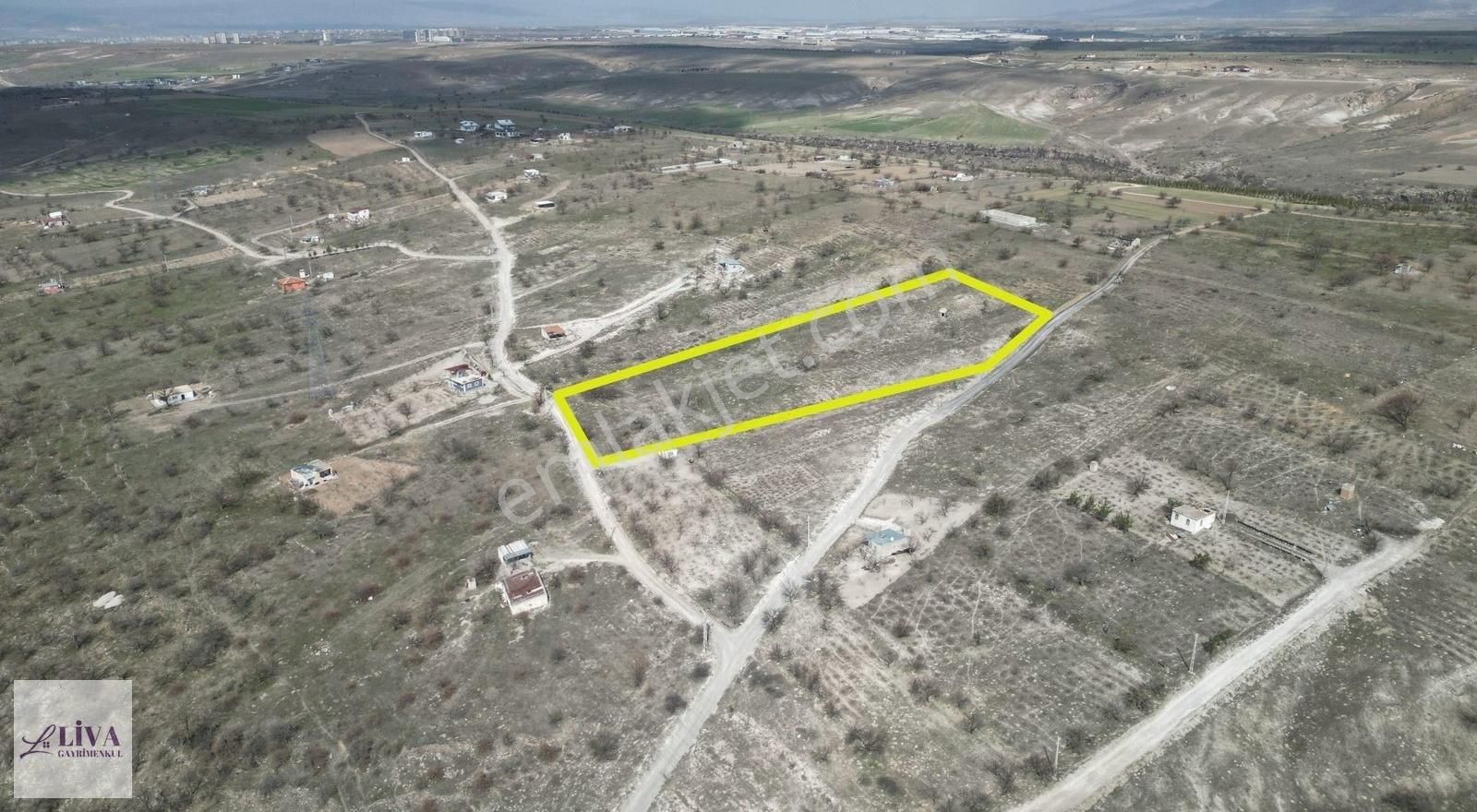 Liva'dan Reşadiye'de 1230 M² Bağ - Görsel 2