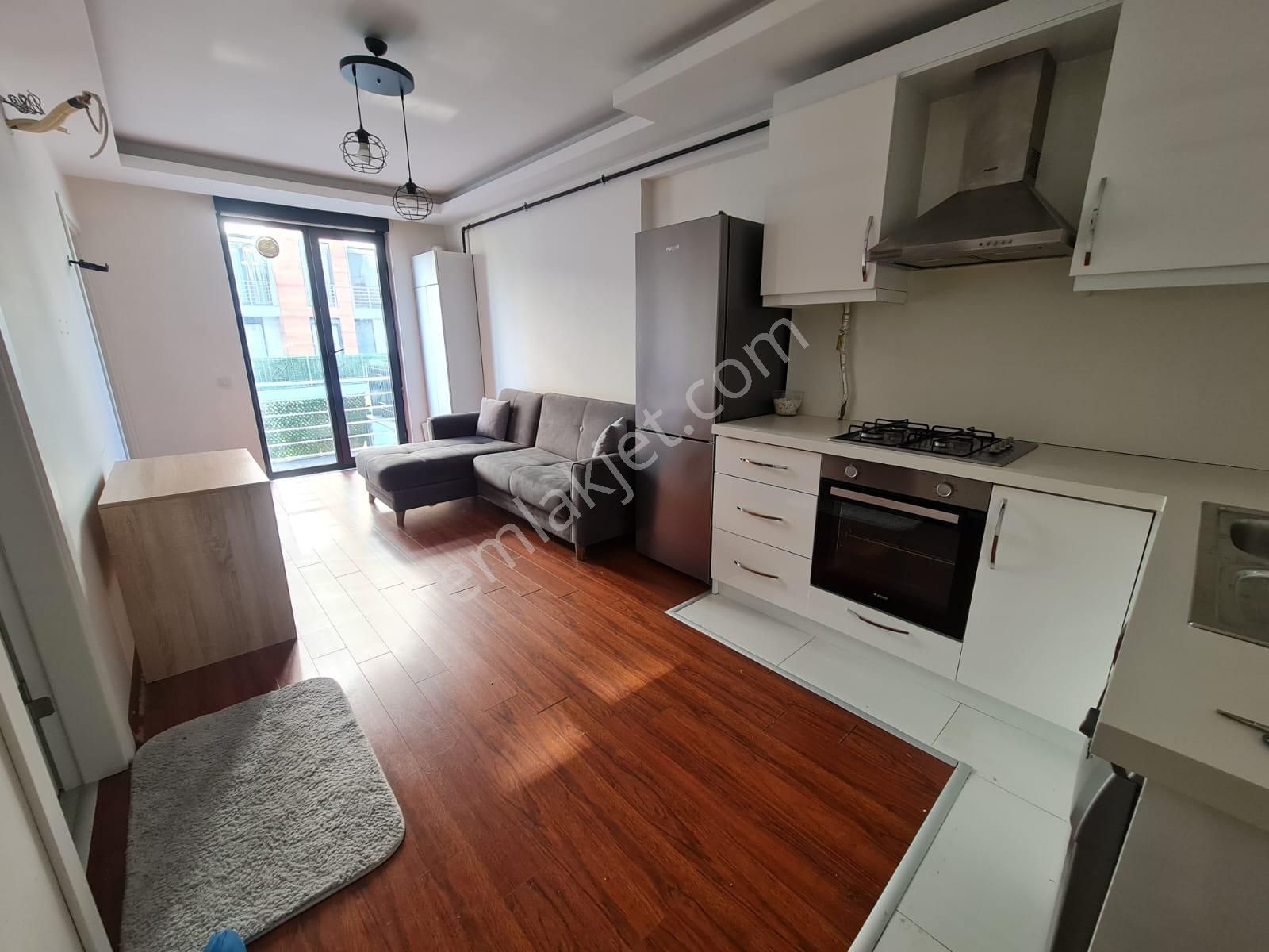 Koç Üniversitesi Yürüme Mesafesinde Siteler Bölgesinde 1+1 Kiralık Eşyalı Boş Daire - Görsel 5