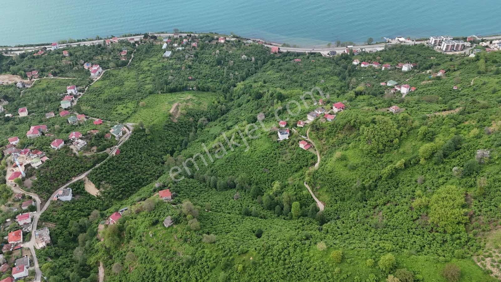 Mabel'den-sahile Yakın Yatırımlık Deniz Manzaralı Bahçe - Görsel 10