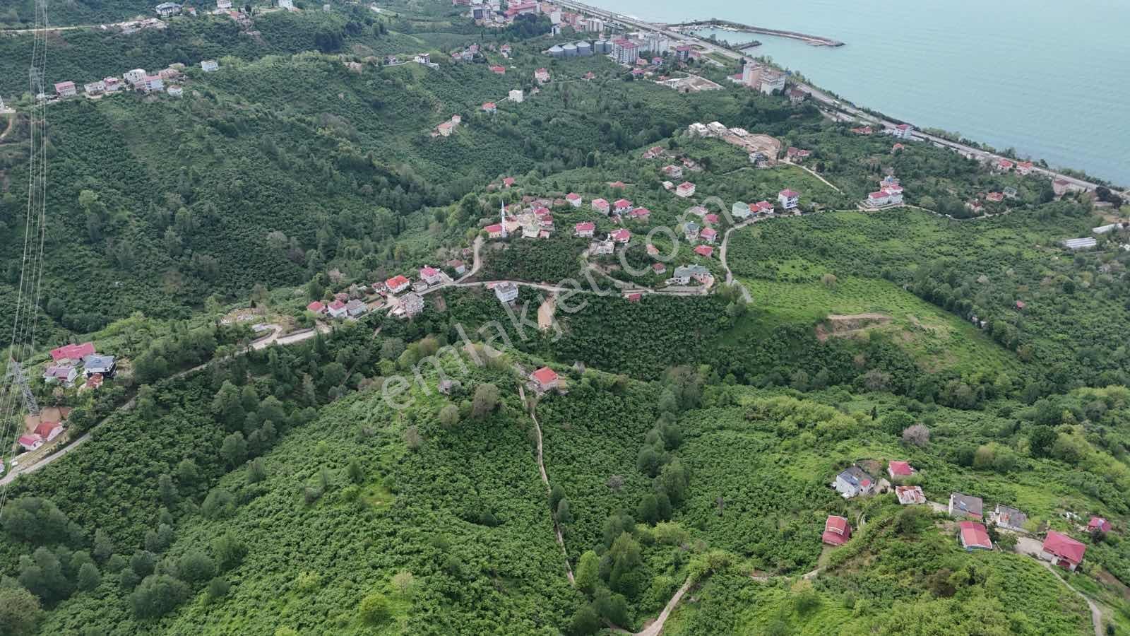 Mabel'den-sahile Yakın Yatırımlık Deniz Manzaralı Bahçe - Görsel 12