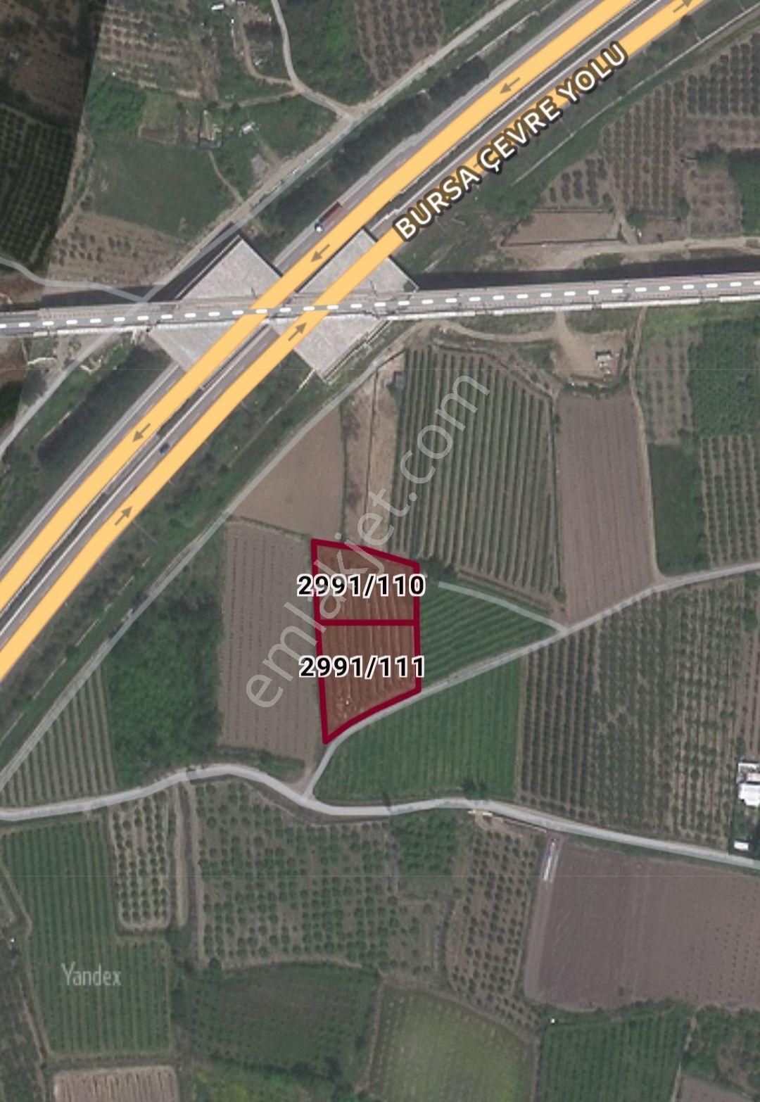 Nd Gayrimenkul'den Gürsu Kazıklı Köyünde Satılık 3424 M2 Armut Bahçesi - Görsel 2