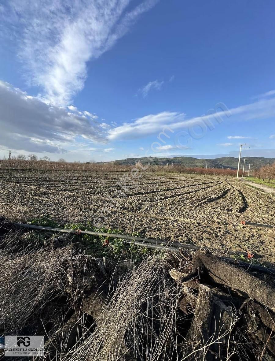 Prestij Gruptan Kazıklıda Satılık Asfalta Cephe Bahçe - Görsel 6