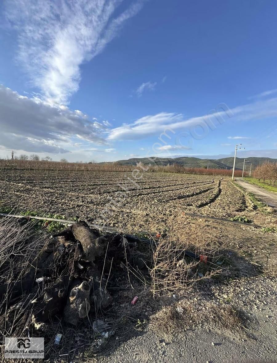 Prestij Gruptan Kazıklıda Satılık Asfalta Cephe Bahçe - Görsel 4