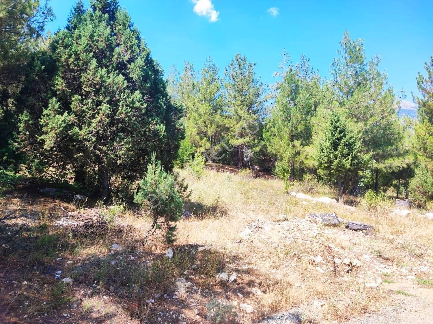 Kar Emlaktan Eskikonacıkta 240m2 Satılık Arsa - Görsel 32