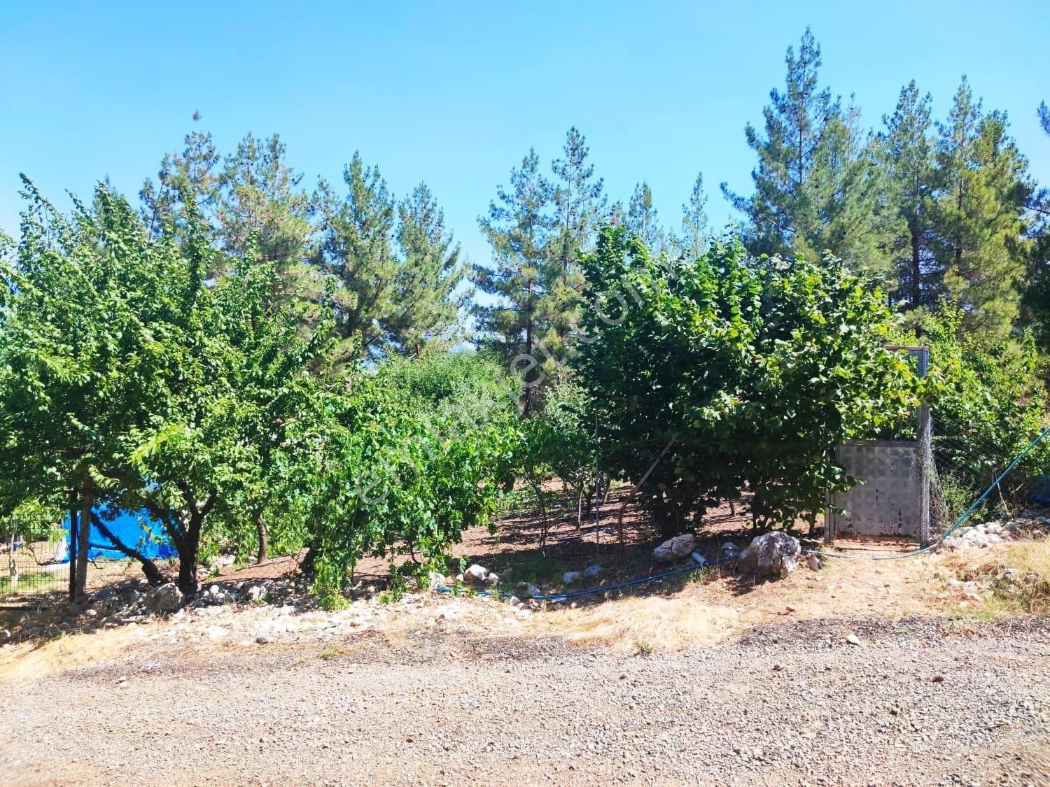 Kar Emlaktan Eskikonacıkta 240m2 Satılık Arsa - Görsel 4