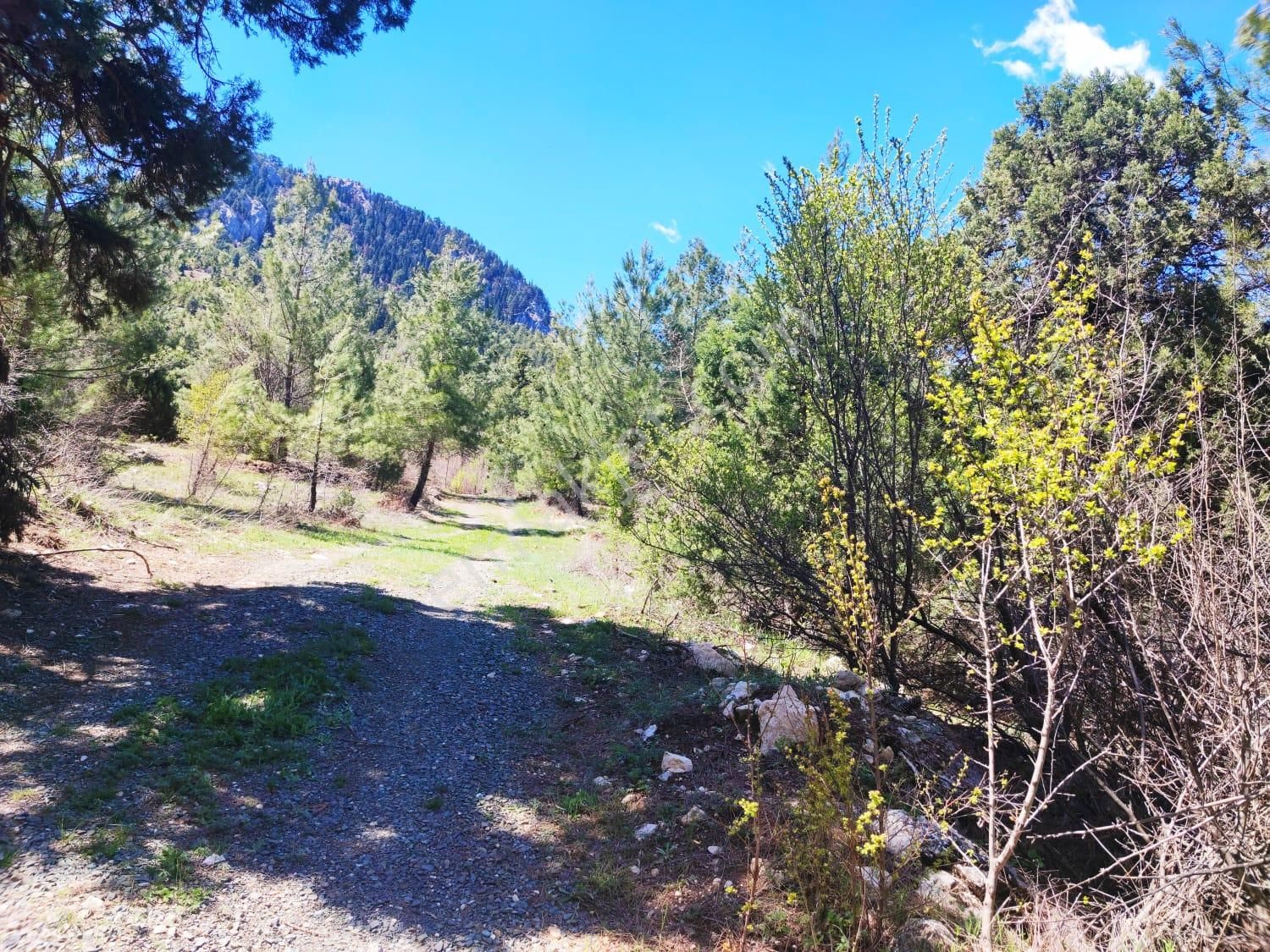 Kar Emlaktan Eskikonacıkta 240m2 Satılık Arsa - Görsel 2