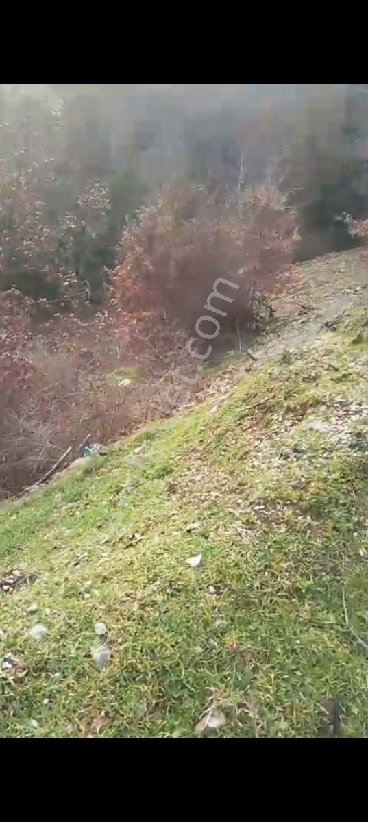 Brt Gayrimenkul Den Ödemiş Horzum Da Satılık Bahçe - Görsel 2