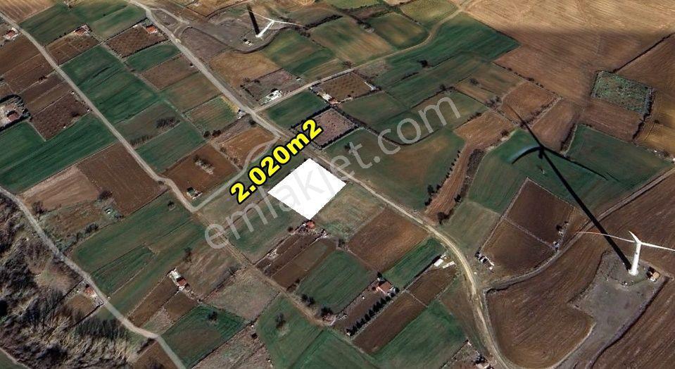 Muratlı Balabanlı’da Yerleşim İçinde Tek Tapu 2.020 M² Satılık Bağ Yeri - Görsel 4