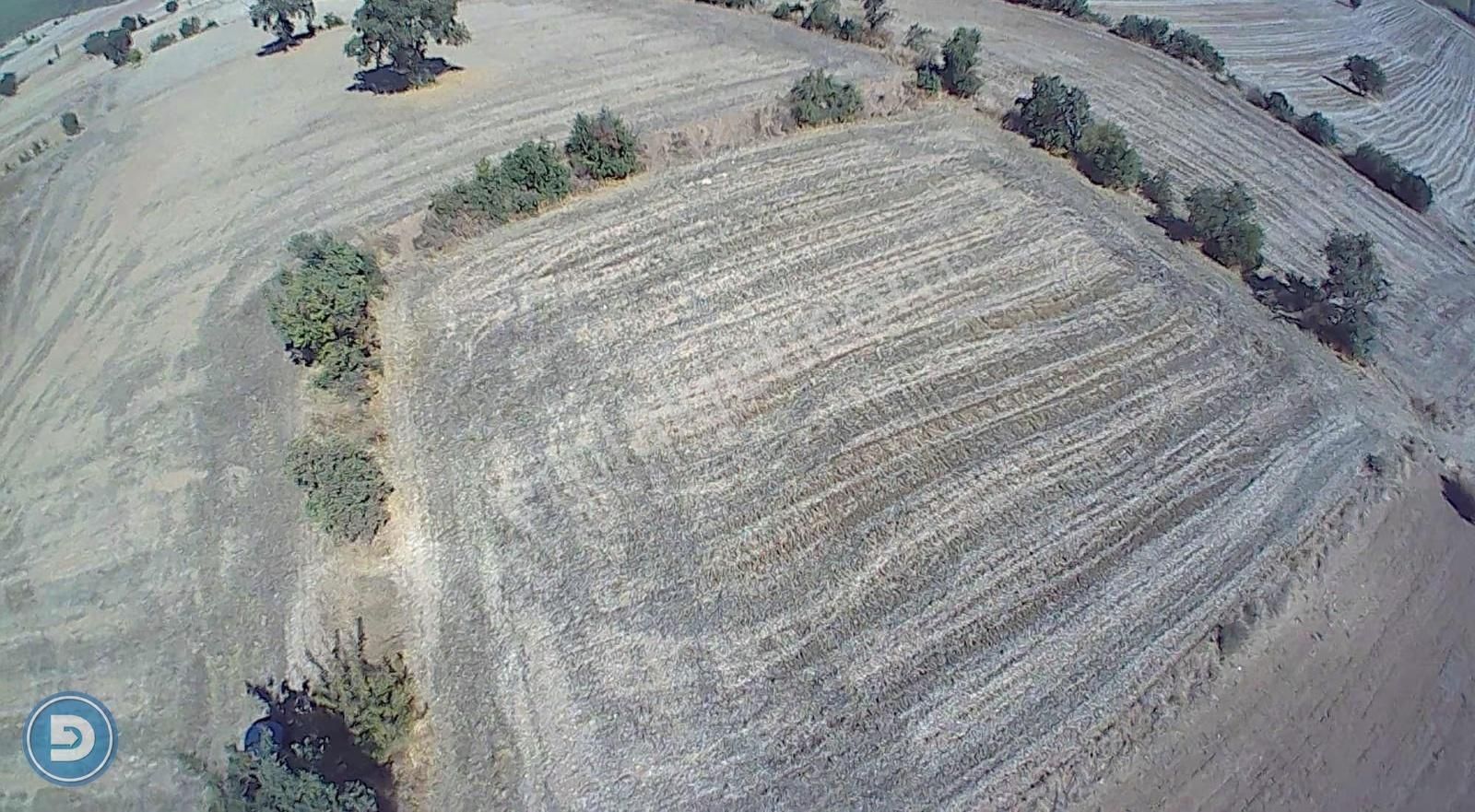 Yenişehir Kavaklıda Ana Yola Yakın 3.100m2 Hesaplı Tarla - Görsel 3