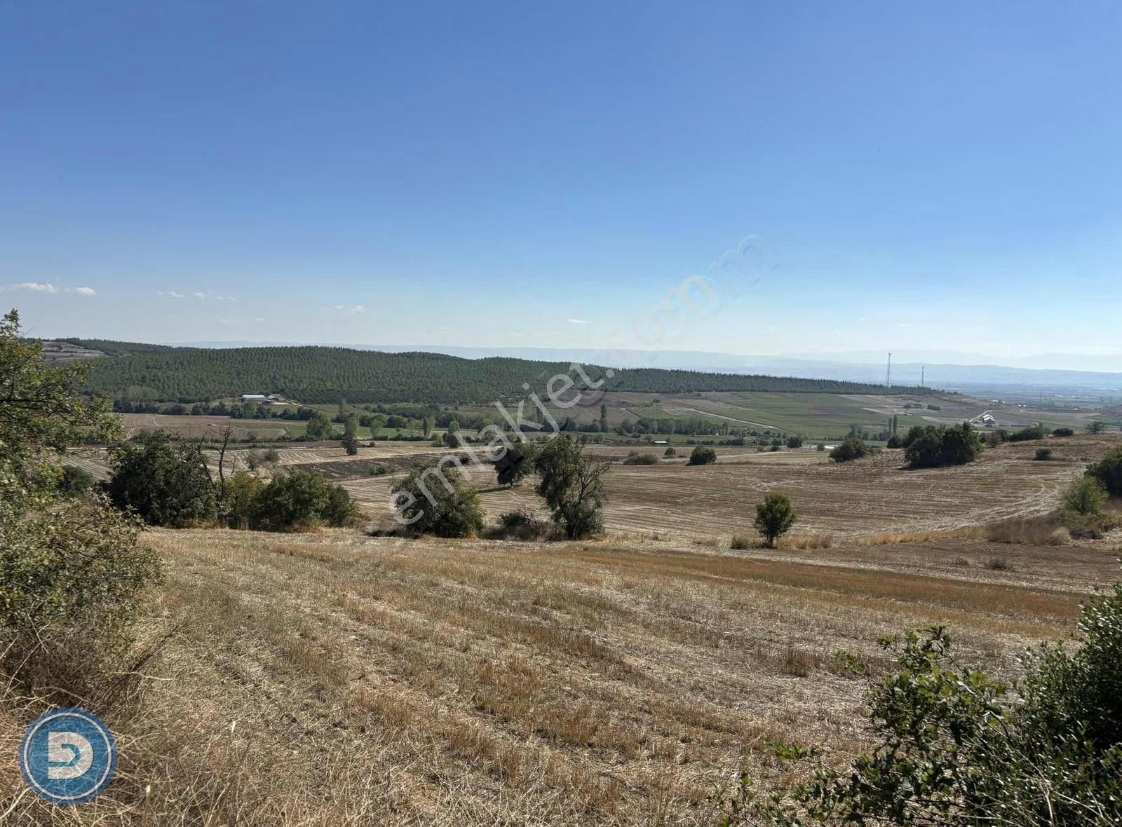 Yenişehir Kavaklıda Ana Yola Yakın 3.100m2 Hesaplı Tarla - Görsel 12