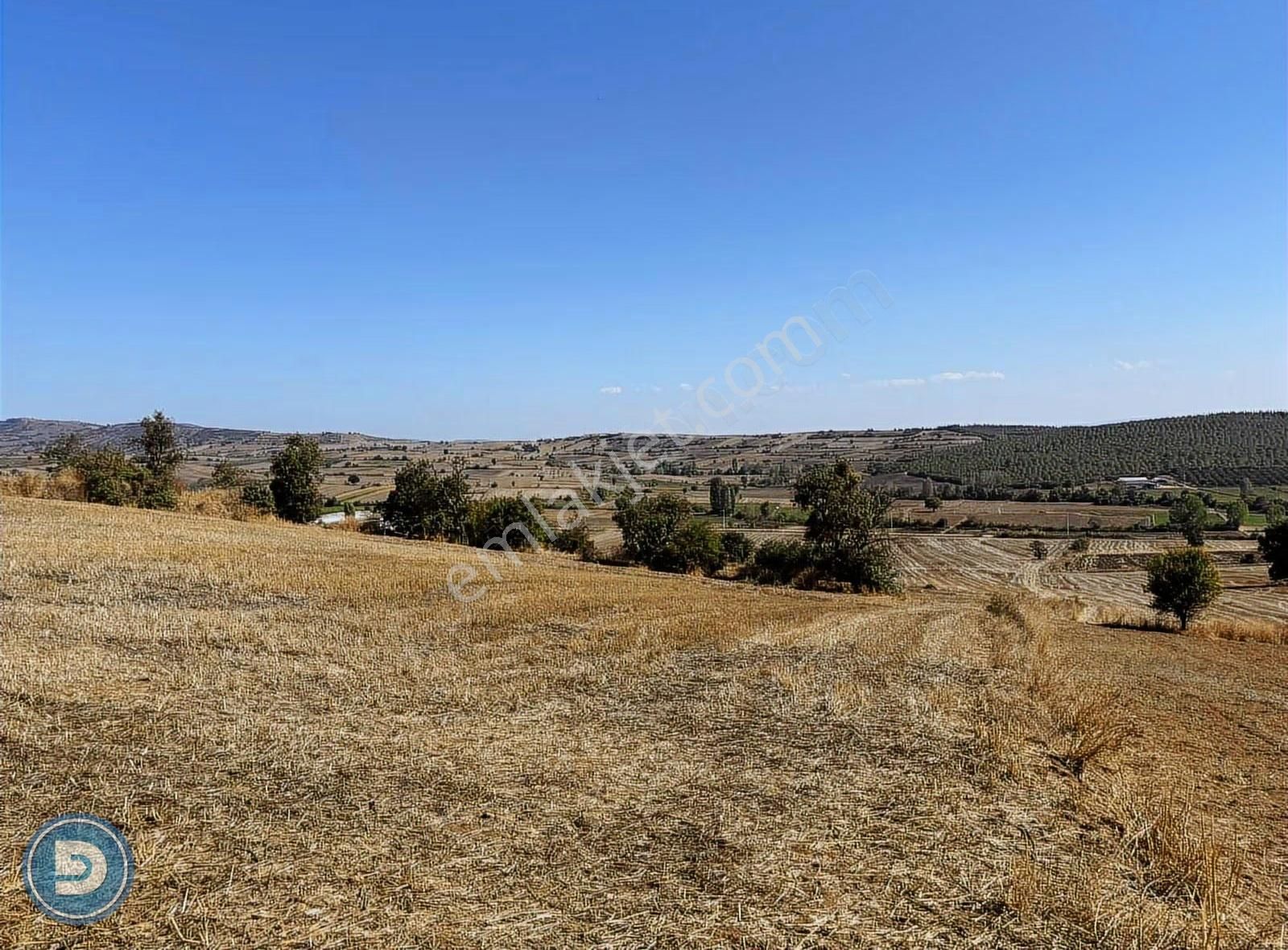 Yenişehir Kavaklıda Ana Yola Yakın 3.100m2 Hesaplı Tarla - Görsel 7