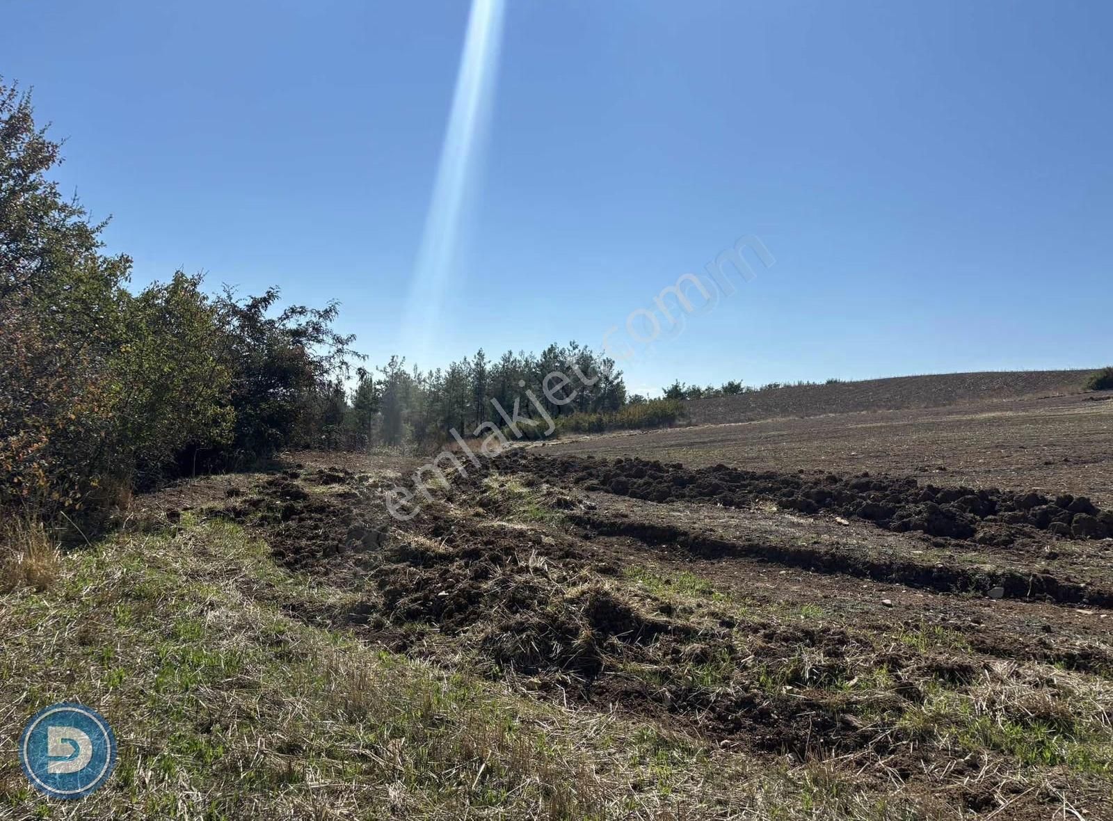 Yenişehir Kavaklı Köyünde Satılık 4.600m2 Hesaplı Tarla - Görsel 10