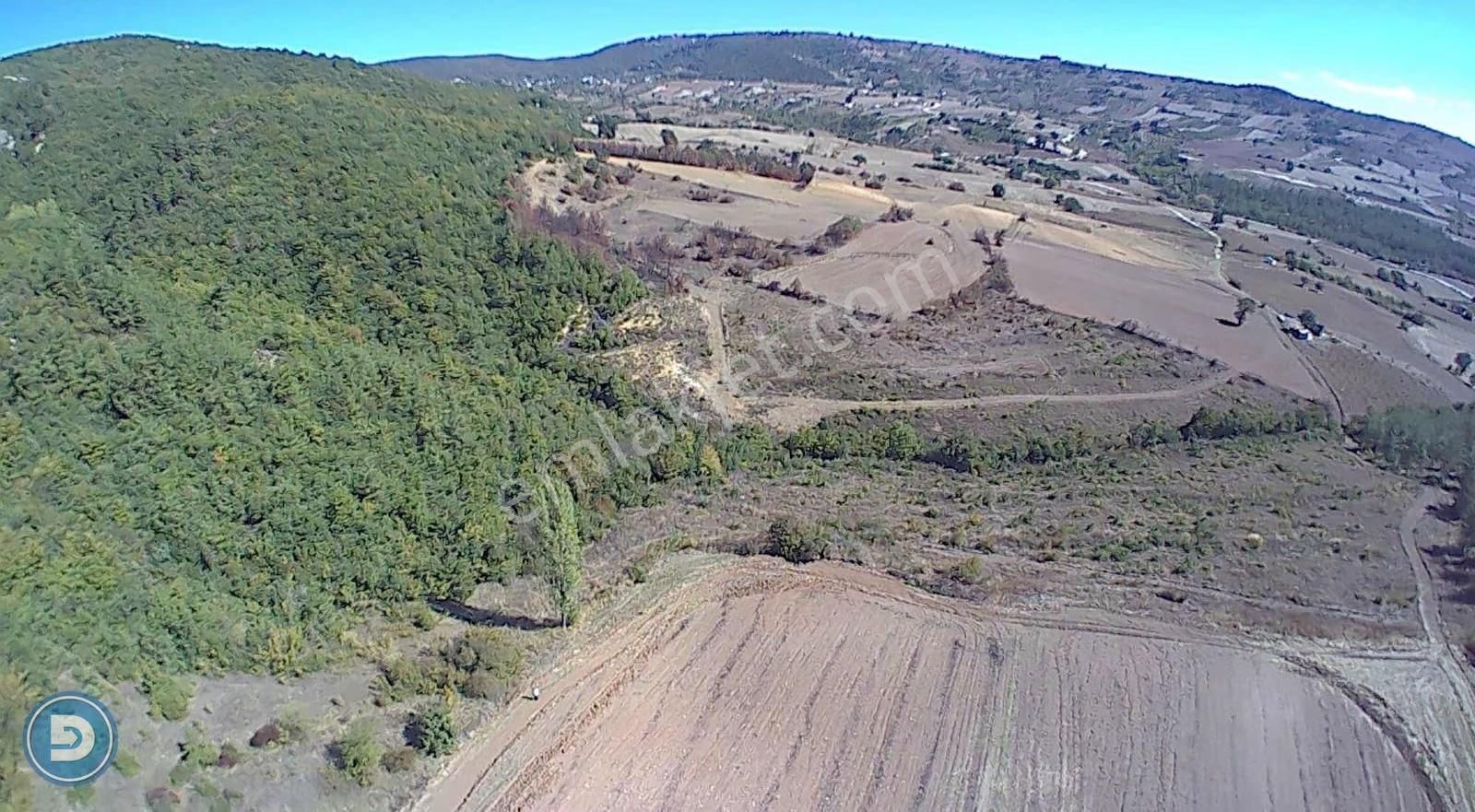 Yenişehir Kavaklı Köyünde Satılık 4.600m2 Hesaplı Tarla - Görsel 11