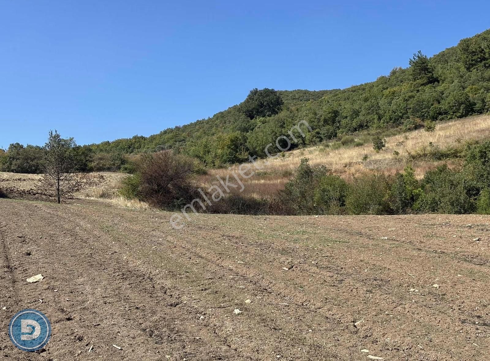 Yenişehir Kavaklı Köyünde Satılık 4.600m2 Hesaplı Tarla - Görsel 13