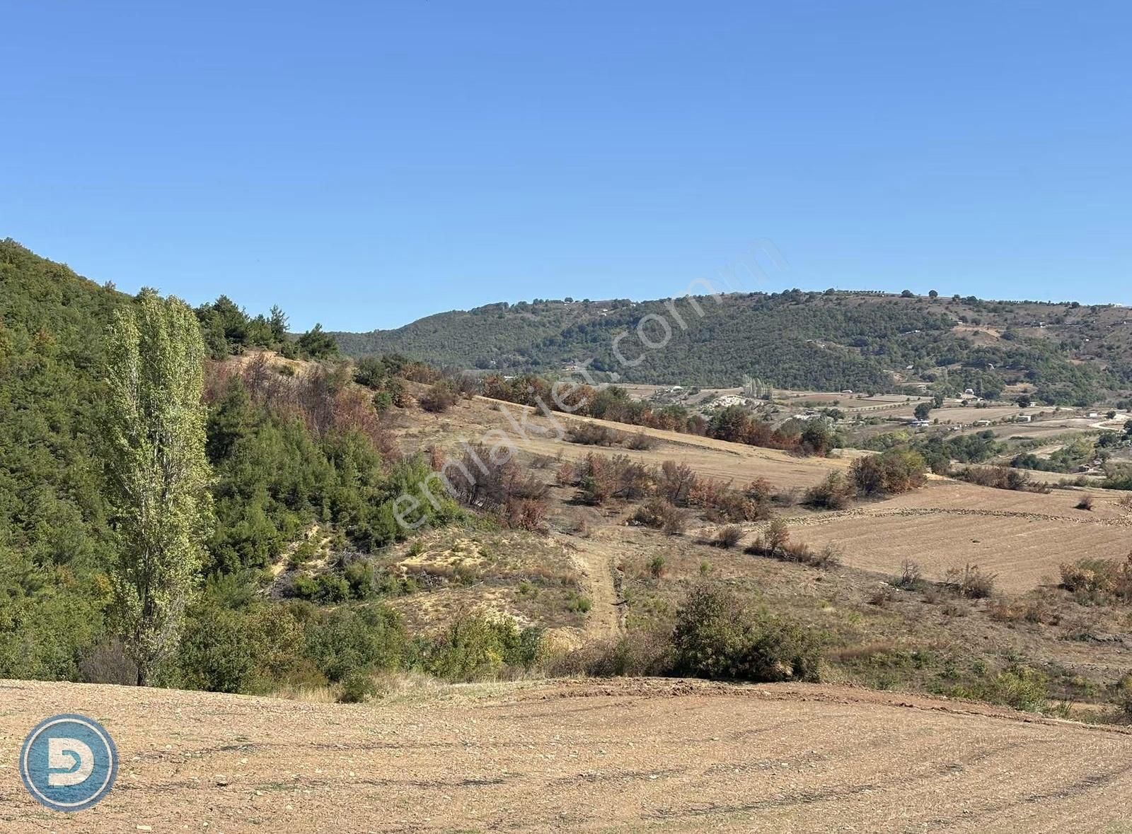 Yenişehir Kavaklı Köyünde Satılık 4.600m2 Hesaplı Tarla - Görsel 4