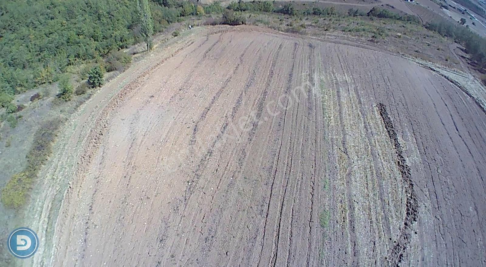 Yenişehir Kavaklı Köyünde Satılık 4.600m2 Hesaplı Tarla - Görsel 2