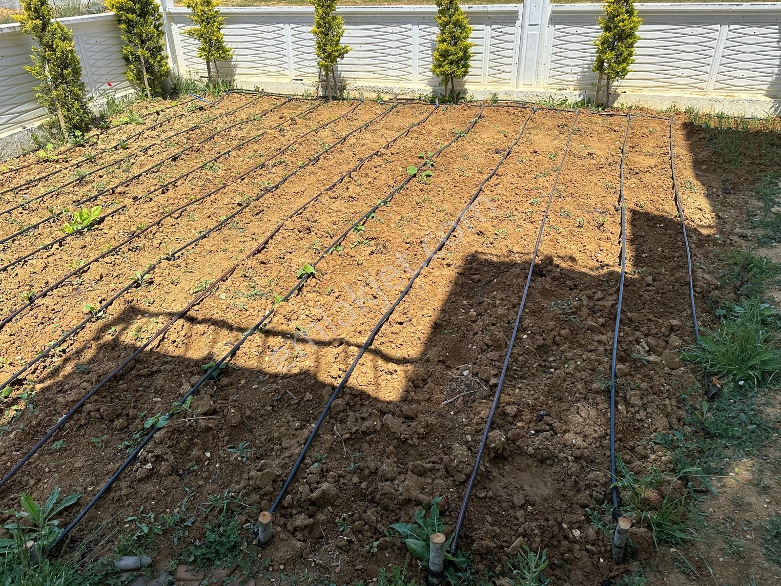 Gelibolu-adilhan Köyü Denize Yürüme Mesafesinde Satılık Villa - Görsel 5