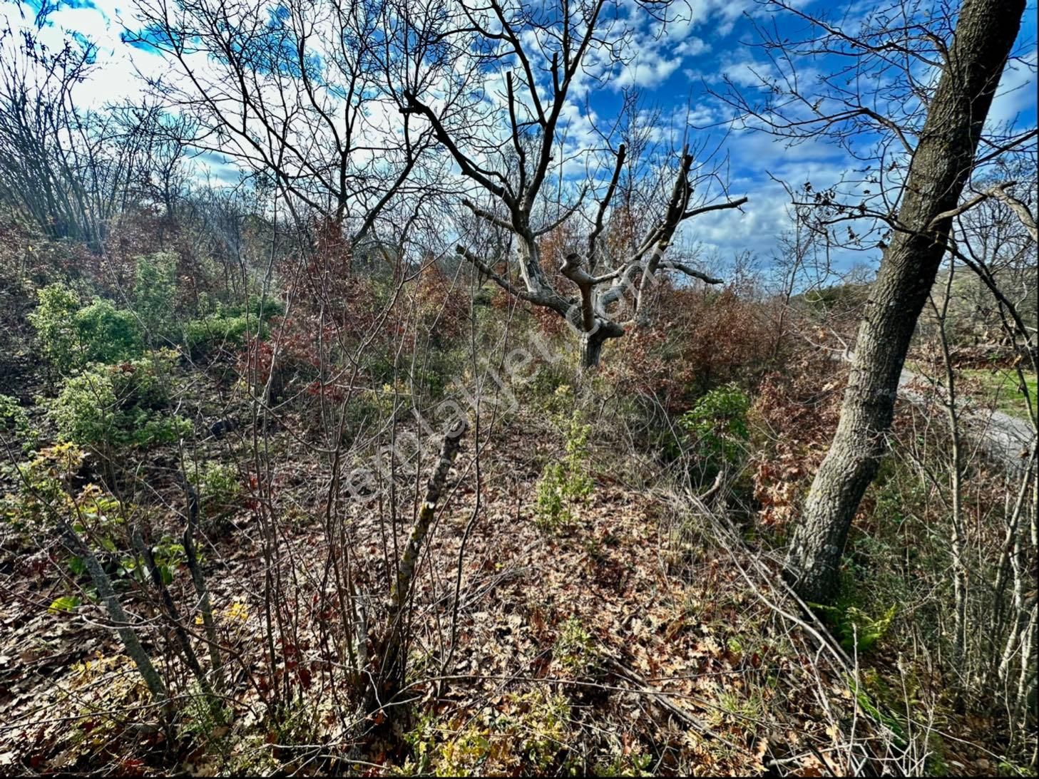 Alanya Karamanlar Da Satılık 302 M2 Tarla - Görsel 12