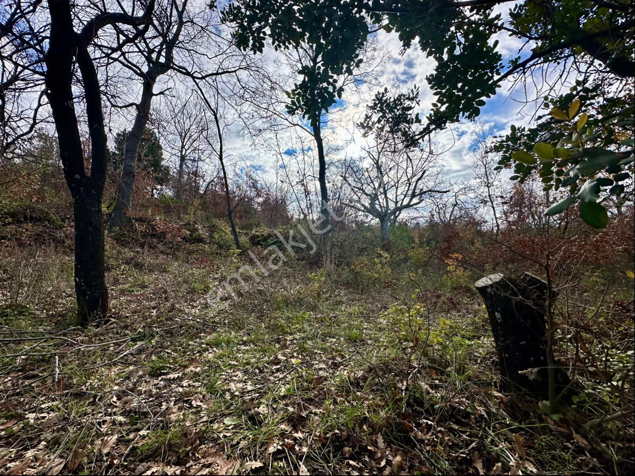 Alanya Karamanlar Da Satılık 302 M2 Tarla - Görsel 7