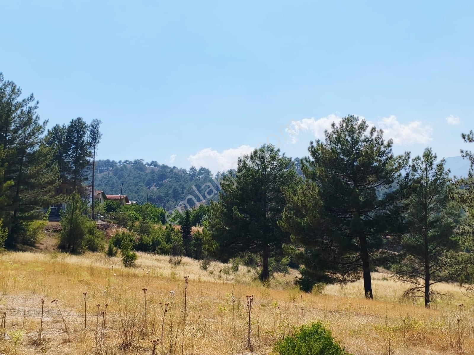 Kar Emlaktan Eskikonacıkta 500m2 Satılık Arsa - Görsel 5