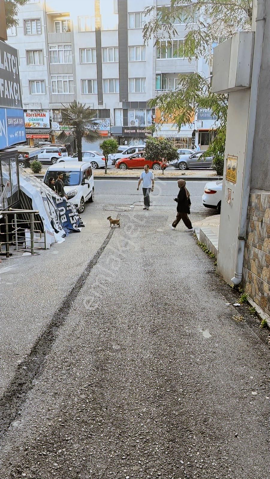 Bulvara Cephe 2+1 - Görsel 5