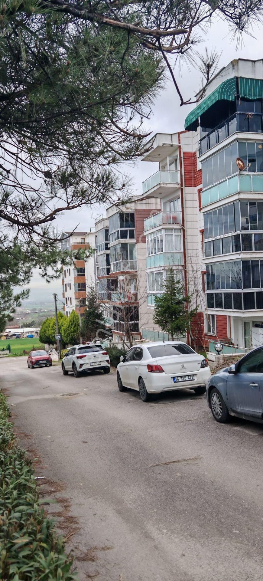 Remax Advantage'dan Park Ve Cadde Yanında Sıte Içı 2+1 - Görsel 18
