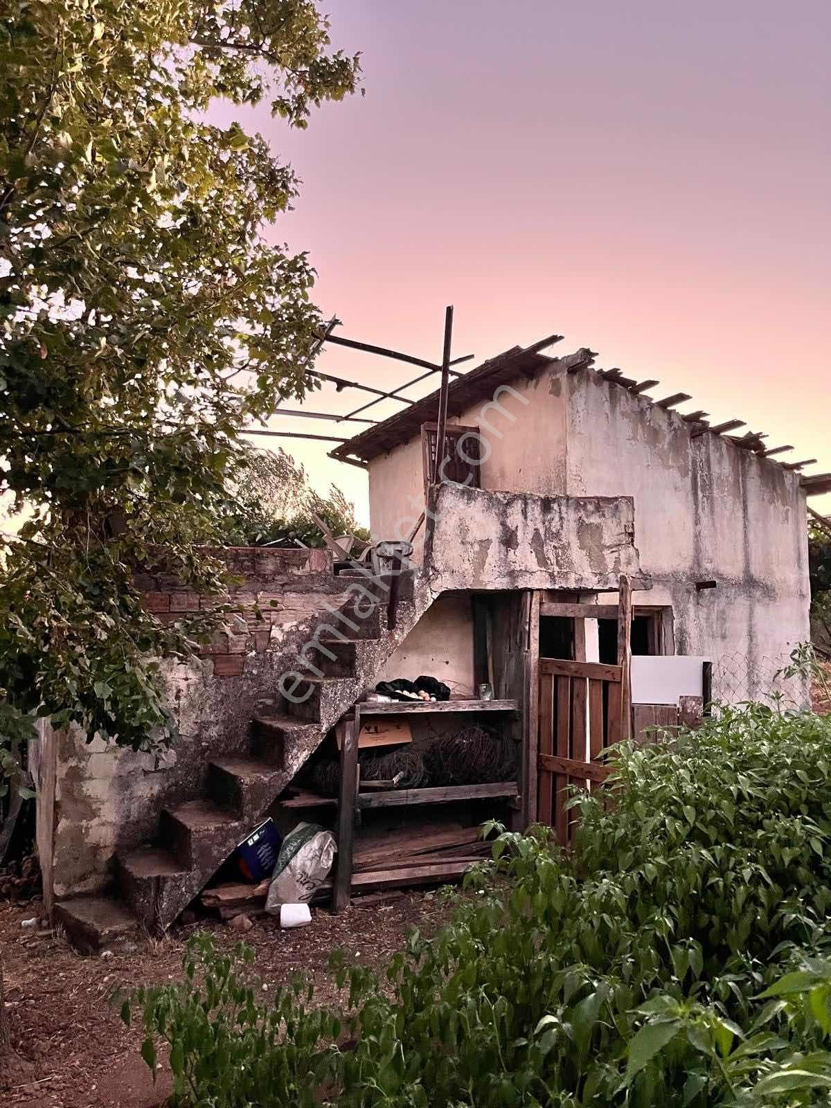 Kaynaklar Pınaraltı Mevkii'nde 14.5 Dönüm Zeytinlik - Görsel 16