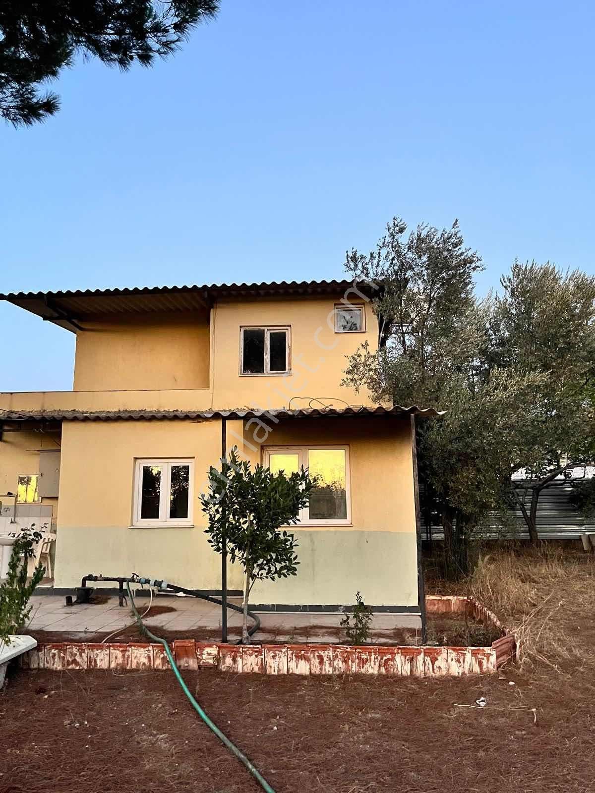 Kaynaklar Pınaraltı Mevkii'nde 14.5 Dönüm Zeytinlik - Görsel 6