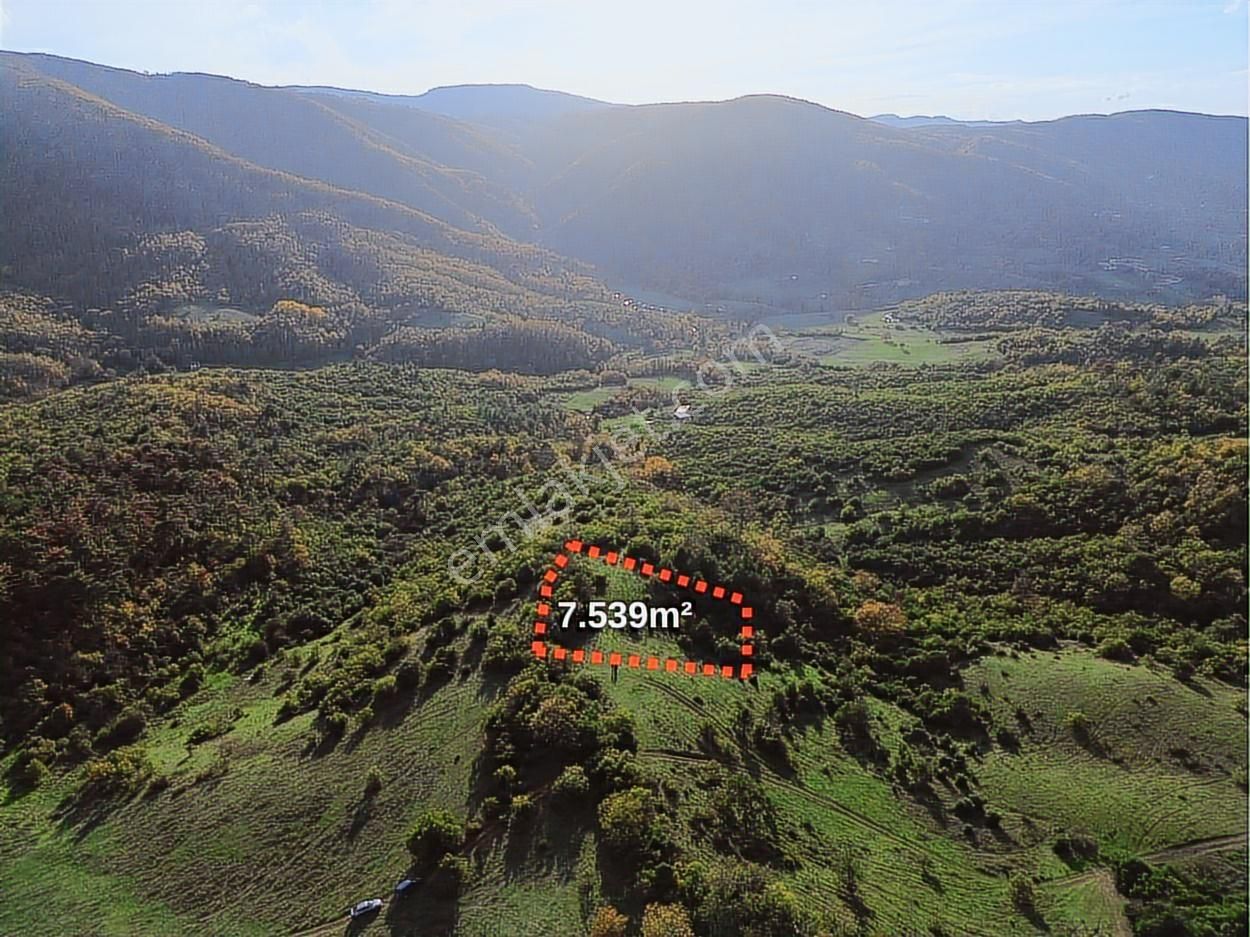 Dialog Prestij Den Dağyenicede Yatırımlık Tarla - Görsel 7