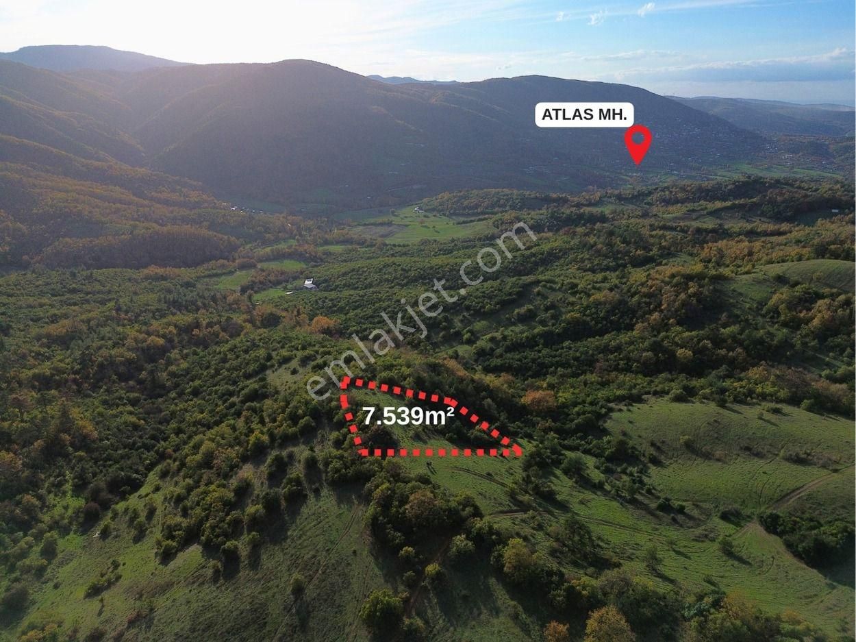 Dialog Prestij Den Dağyenicede Yatırımlık Tarla - Görsel 4