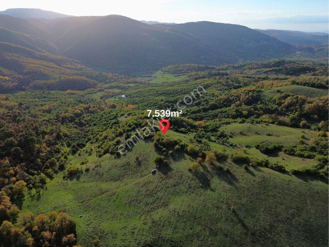 Dialog Prestij Den Dağyenicede Yatırımlık Tarla - Görsel 5