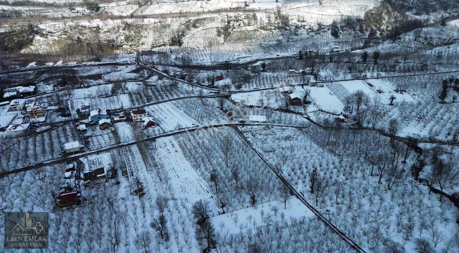 Esen Emlak'tan Çamlıcada İmar Sınırında Tarla Fındıklık - Görsel 2