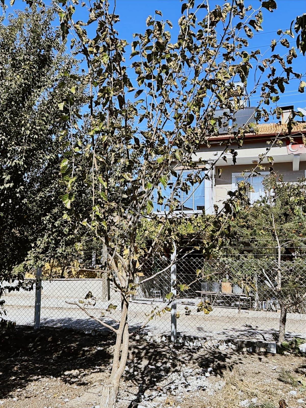 Sıla Gayrimenkulden İki Yola Cepheli 2 Kat İmarlı Villalık Arsa - Görsel 30