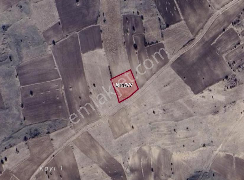 Konya Akören Tülce Köyünde 3.379 M² Tarla Satılıktır