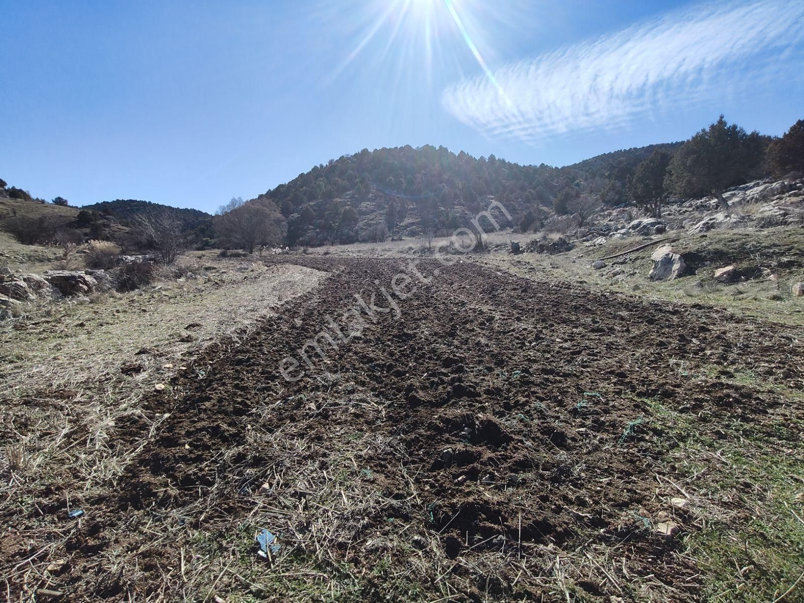 Seydikemer Doğanlar Da Satılık Müstakil Arazi - Görsel 6