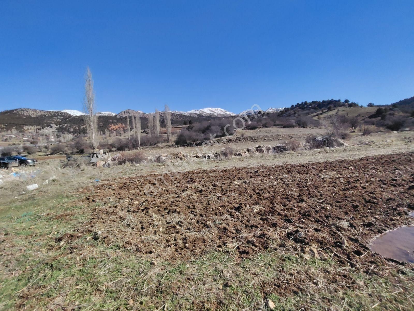 Seydikemer Doğanlar Da Satılık Müstakil Arazi - Görsel 2