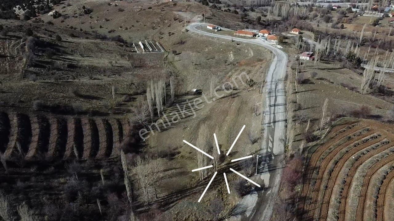 Seydikemer Yayla Doğanlar Mah. Asfalta Cephe Satılık Arazi - Görsel 23