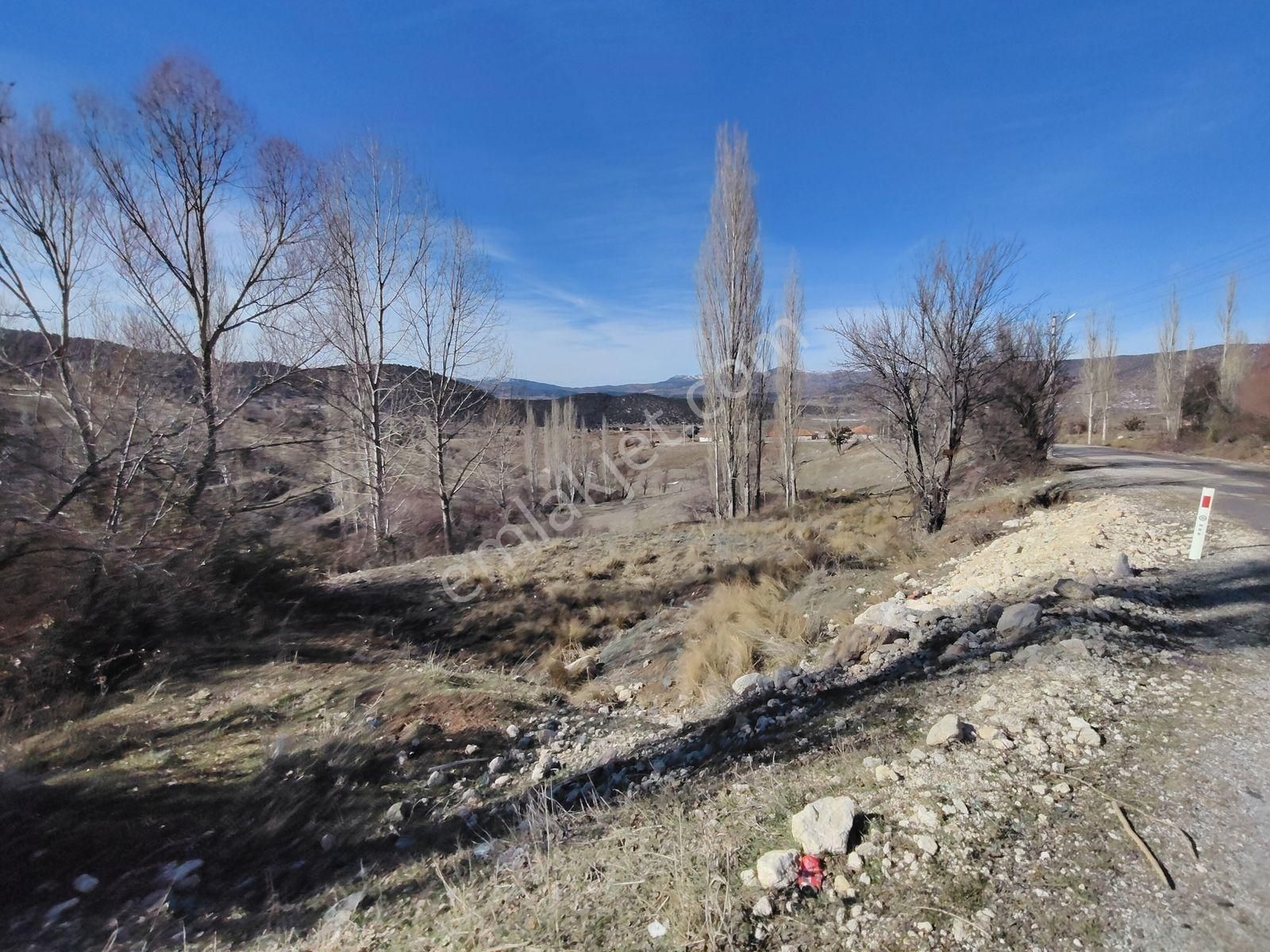 Seydikemer Yayla Doğanlar Mah. Asfalta Cephe Satılık Arazi - Görsel 25