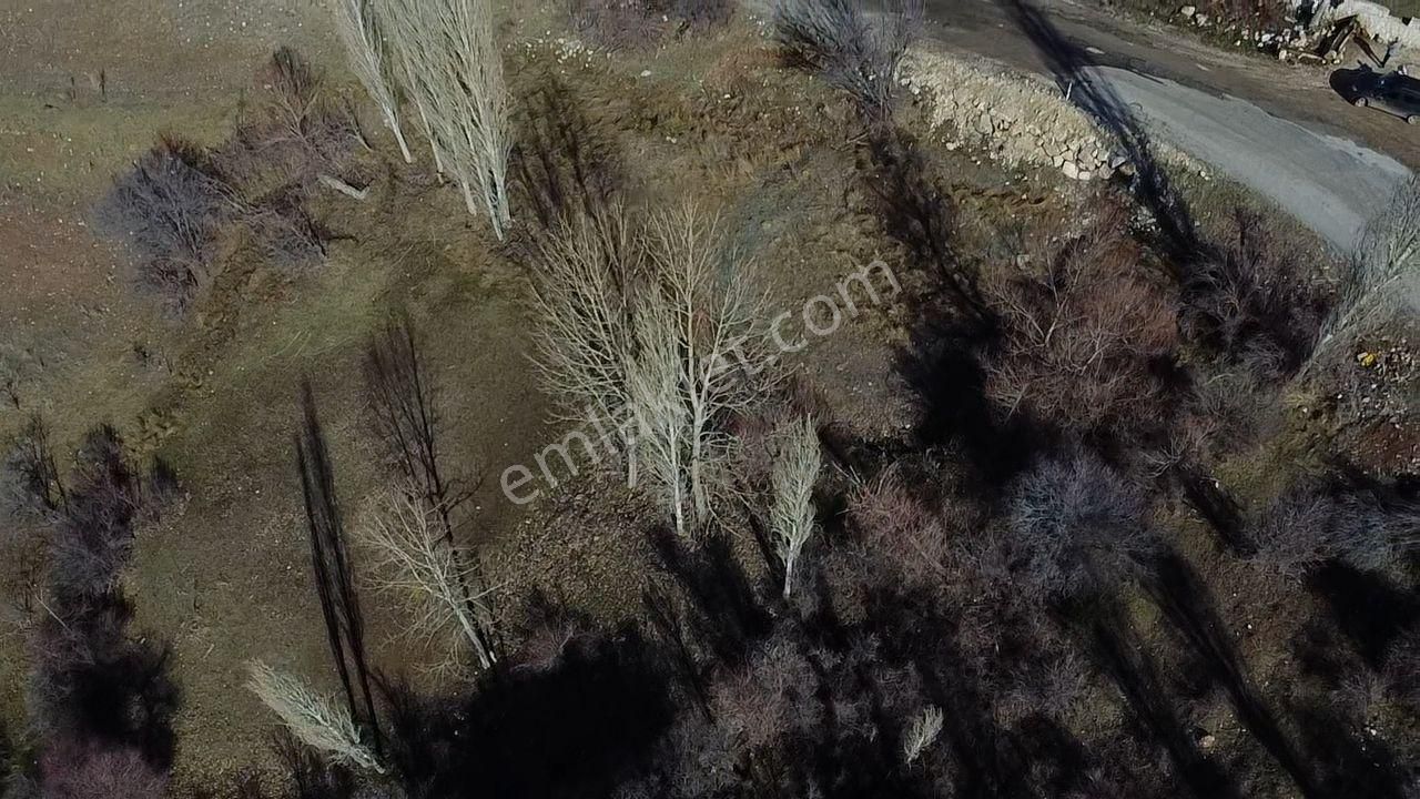 Seydikemer Yayla Doğanlar Mah. Asfalta Cephe Satılık Arazi - Görsel 8