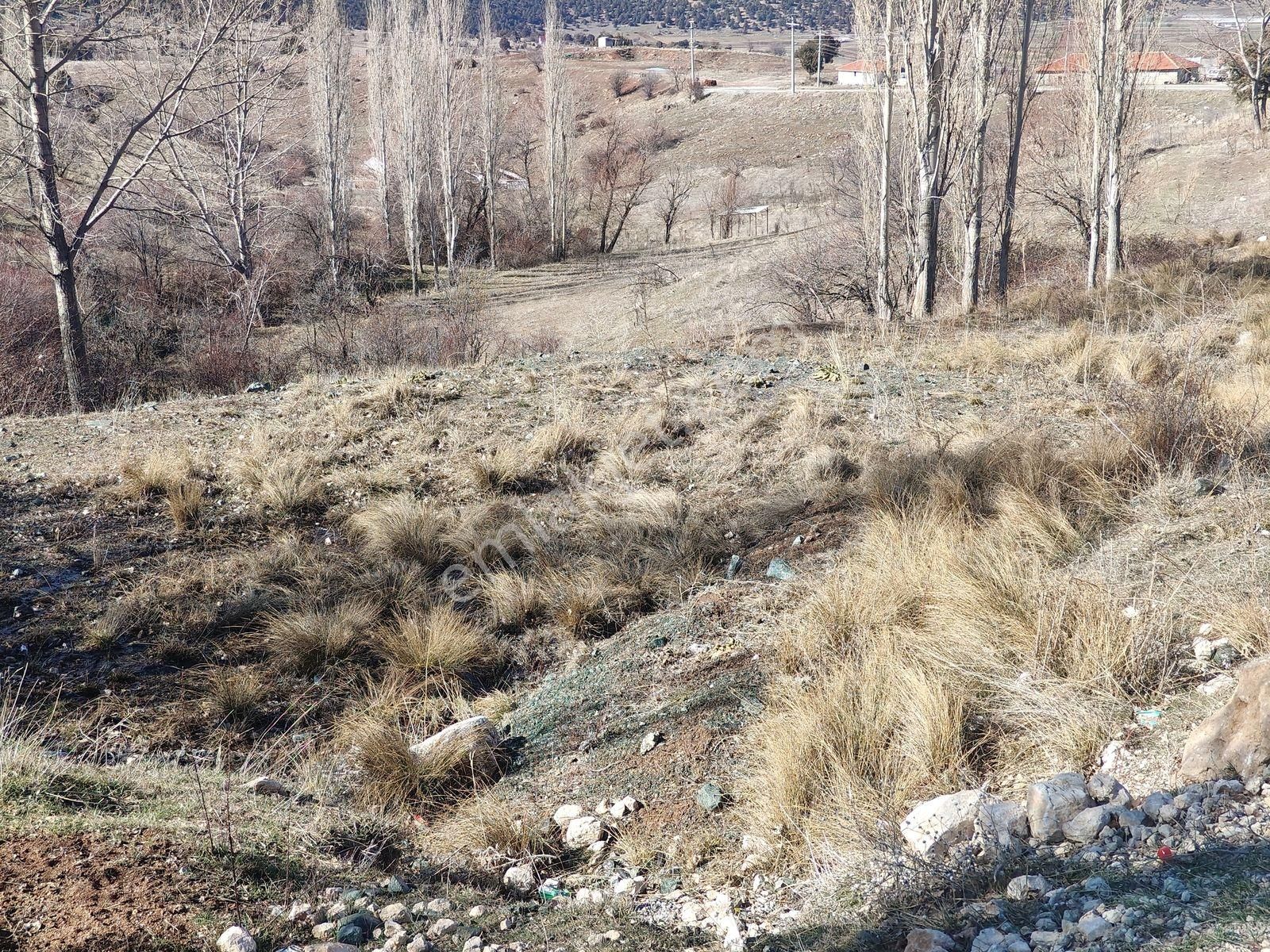 Seydikemer Yayla Doğanlar Mah. Asfalta Cephe Satılık Arazi - Görsel 9